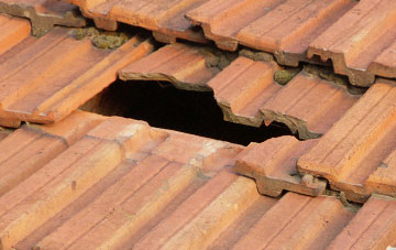 roof repair Sparsholt